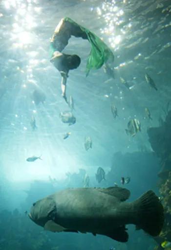 蓝色海景壁纸图片大全,海景壁纸4k超清全面屏