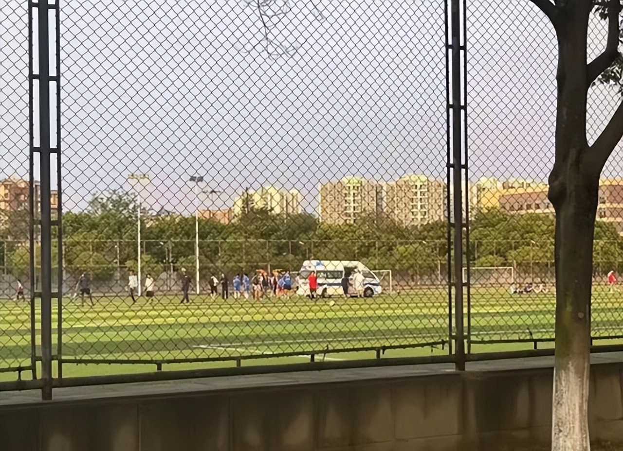 武校孩子被打死事件成都体育学院,成都体育学院学生打人后续处理