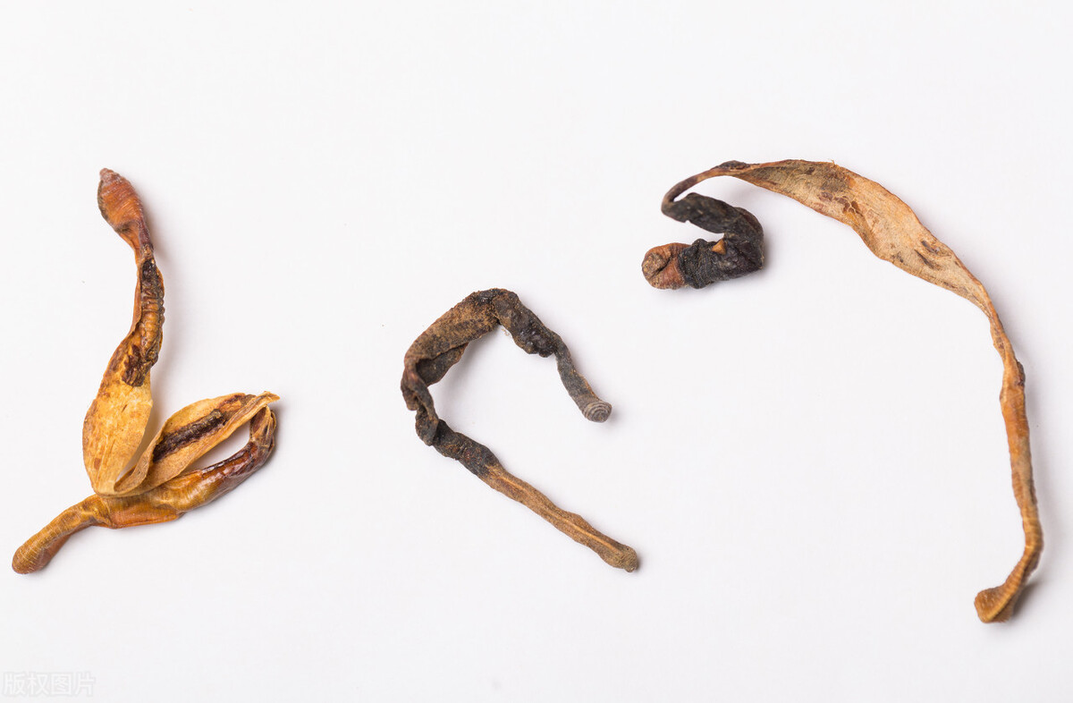 中风瘫痪的中医治疗,中医康复中风偏瘫半身不遂