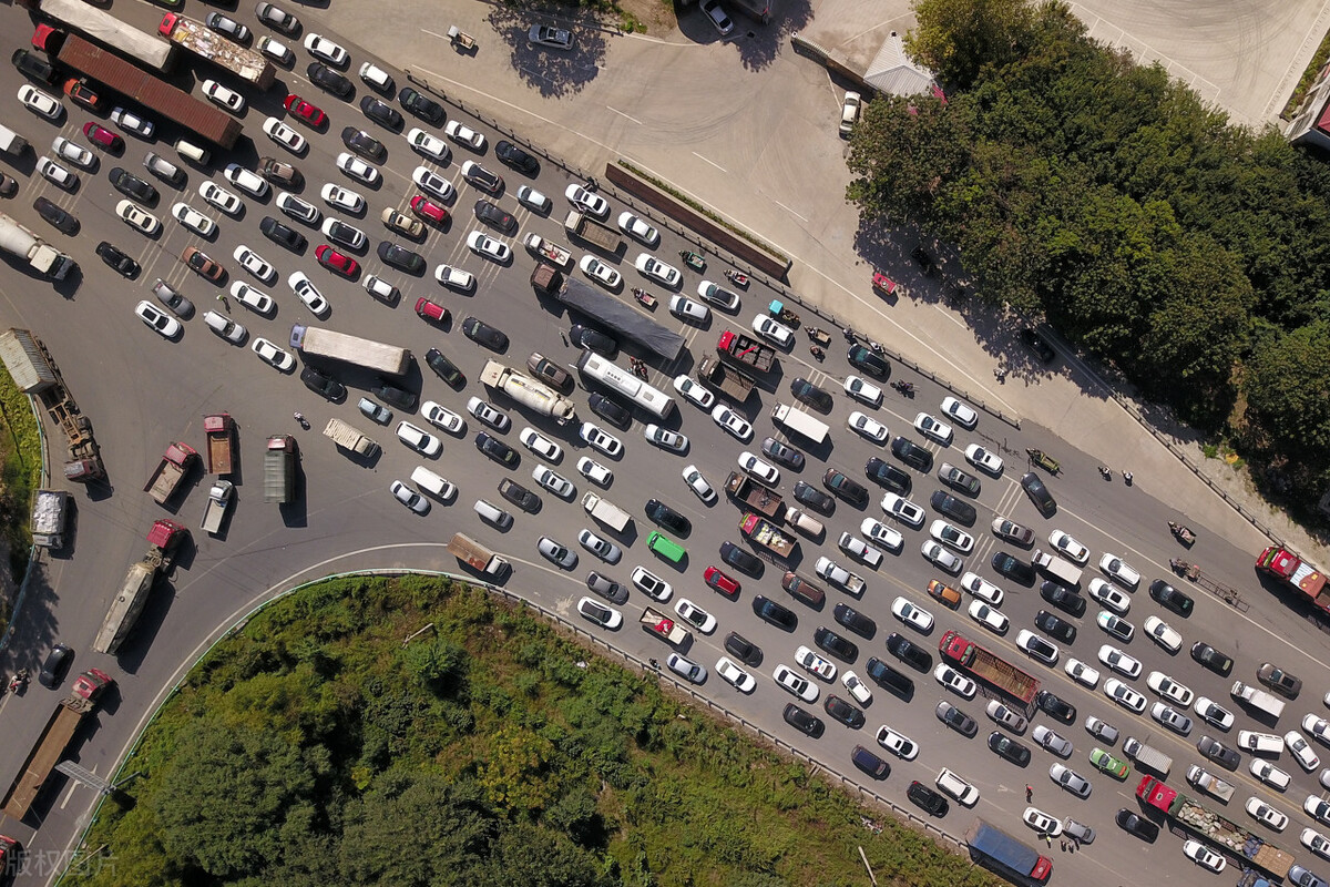 脾虚肥胖最快的解决方法,脾虚肥胖的原因