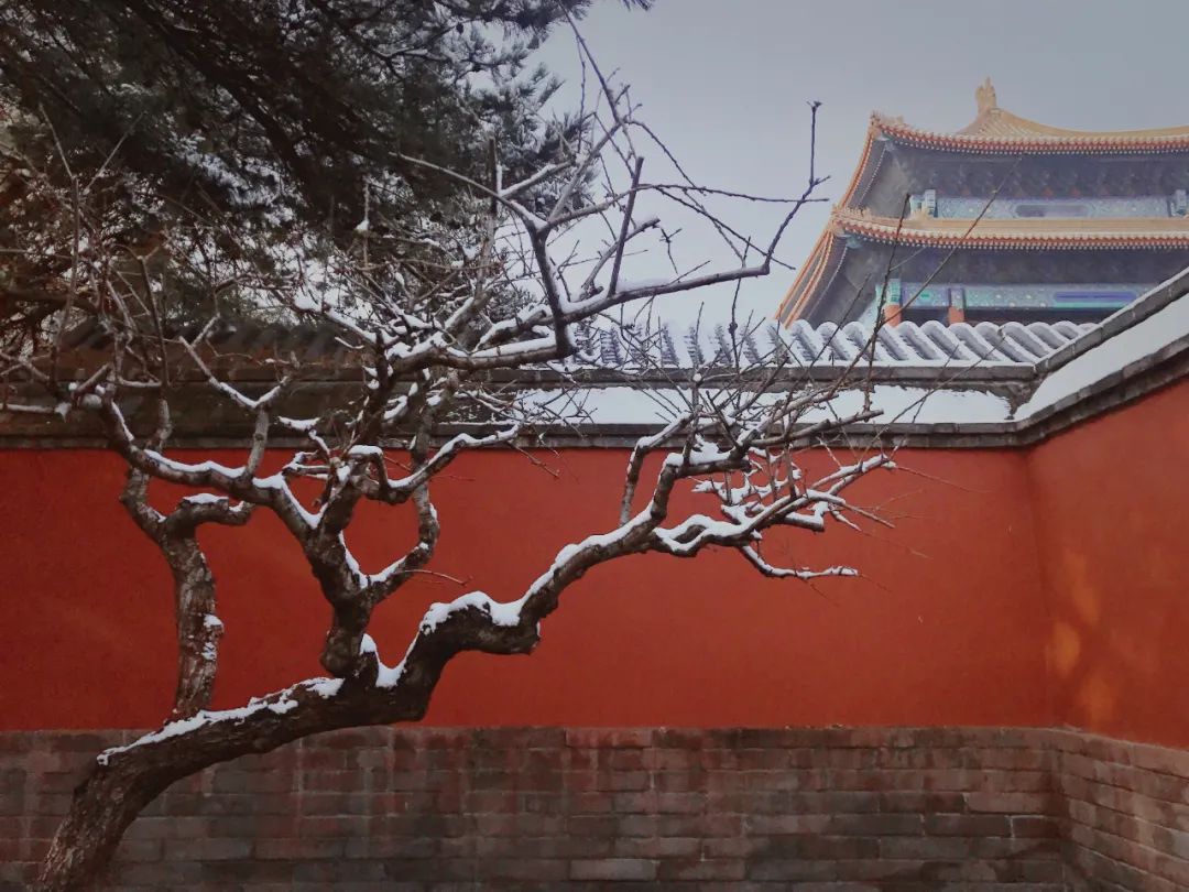 五千年来最触动心灵的10句诗词,中华上下五千年人生哲理的句子