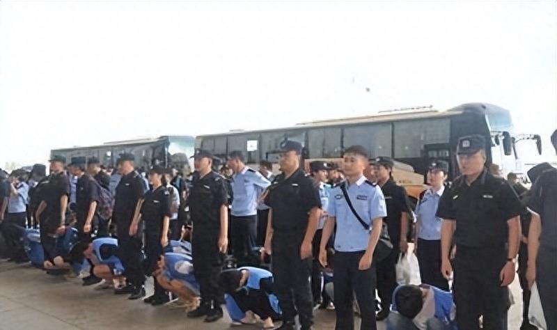 百万网红雅典娜现身缅北训狗营,缅北训狗场被救女孩真实采访