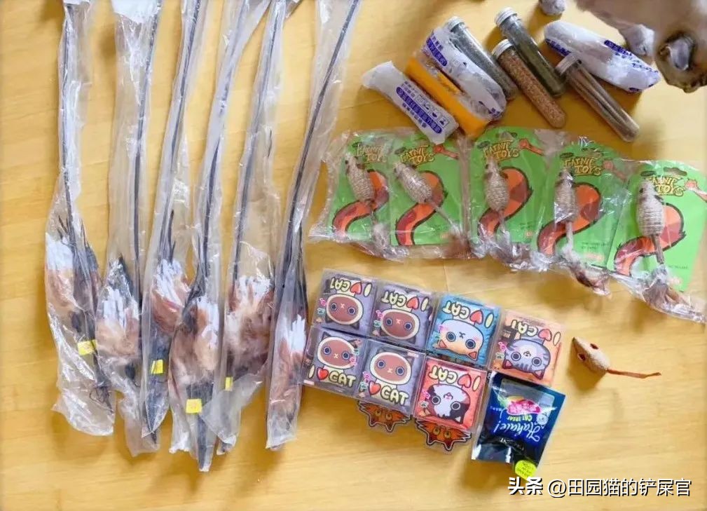 2018年全国宠物展排期表,深圳宠物展会2021排期明细表