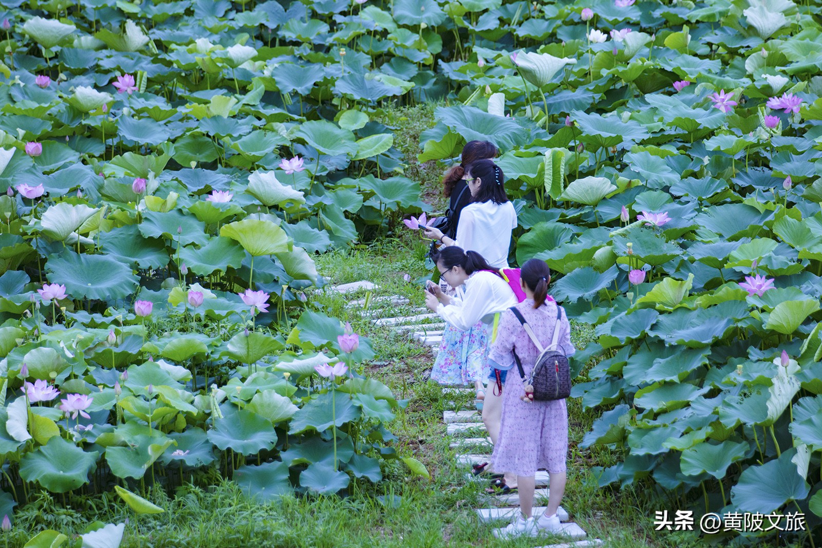 <html>
<head><title>502BadGateway</title></head>
<body>
<center><h1>502BadGateway</h1></center>
<hr><center>nginx</center>
</body>
</html>
<!--apaddingtodisableMSIEandChromefriendlyerrorpage-->
<!--apaddingtodisableMSIEandChromefriendlyerrorpage-->
<!--apaddingtodisableMSIEandChromefriendlyerrorpage-->
<!--apaddingtodisableMSIEandChromefriendlyerrorpage-->
<!--apaddingtodisableMSIEandChromefriendlyerrorpage-->
<!--apaddingtodisableMSIEandChromefriendlyerrorpage-->
