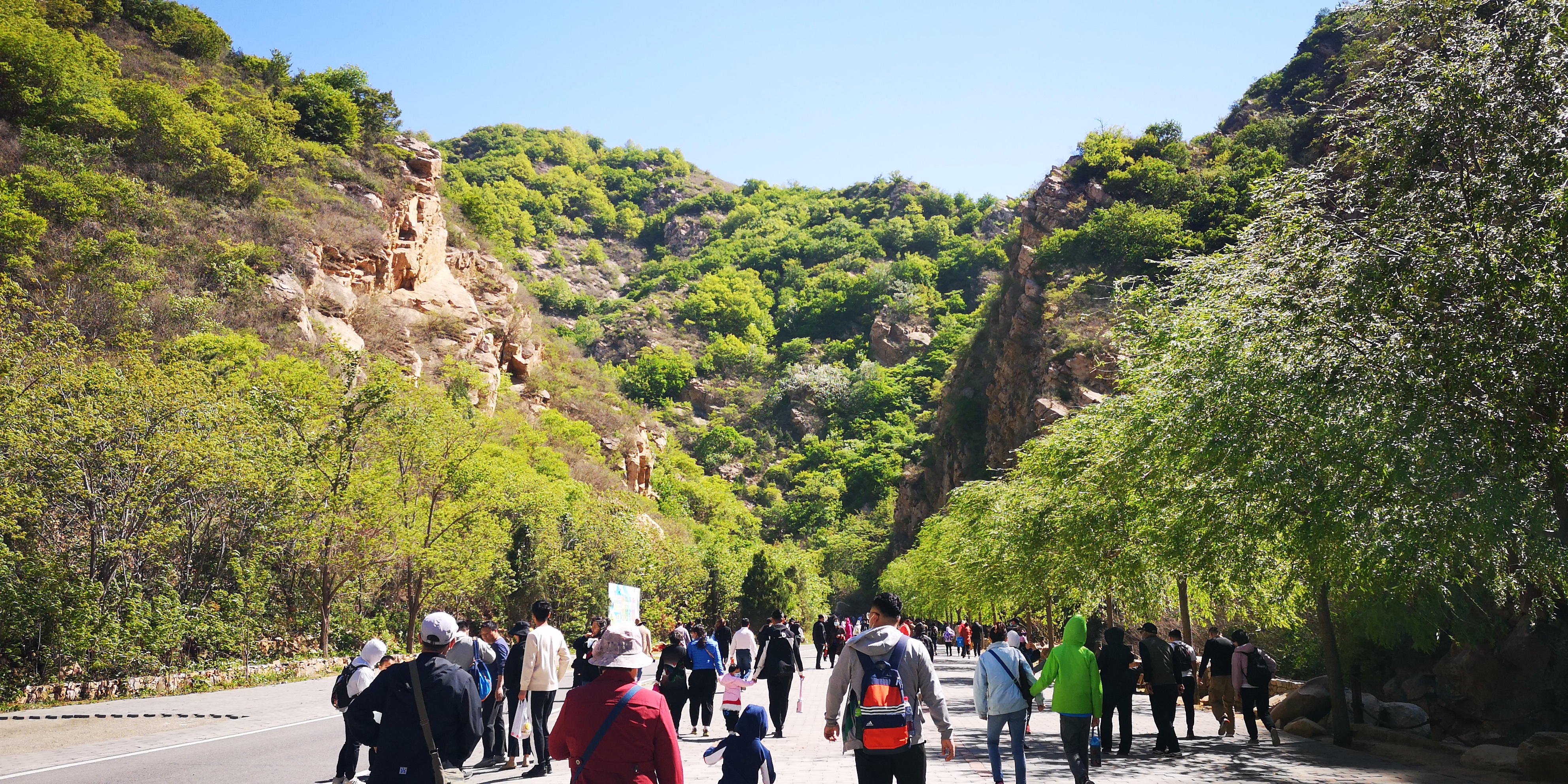 天津梨木台景区值得夏天去的地方,天津蓟县梨木台风景区路线
