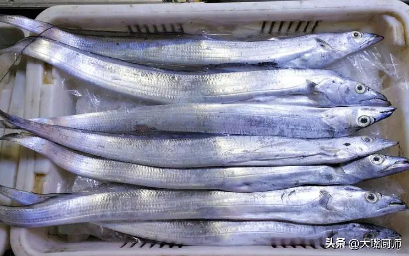 买带鱼买黑眼的还是黄眼的好,买带鱼选黑眼还是黄眼