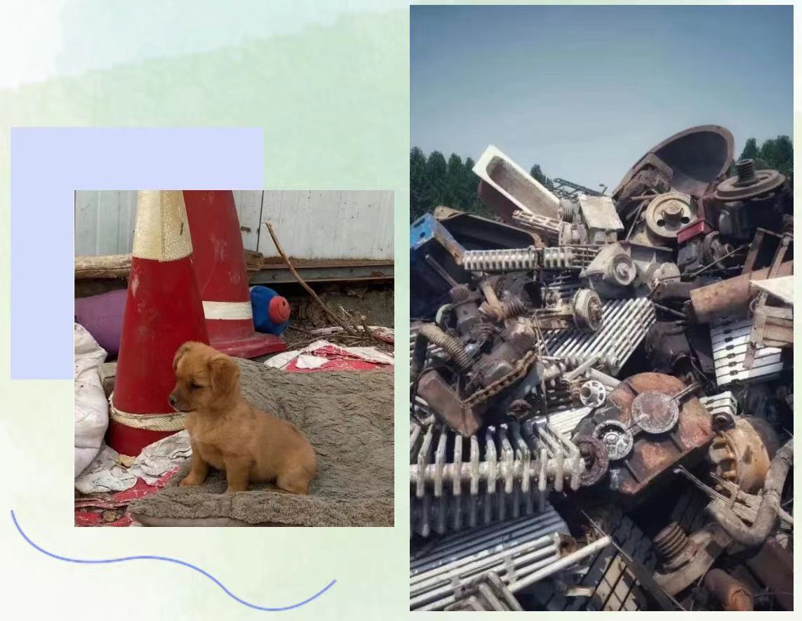 林喜乐新作《佛珠》出版：每一个故事都是人生的缩写