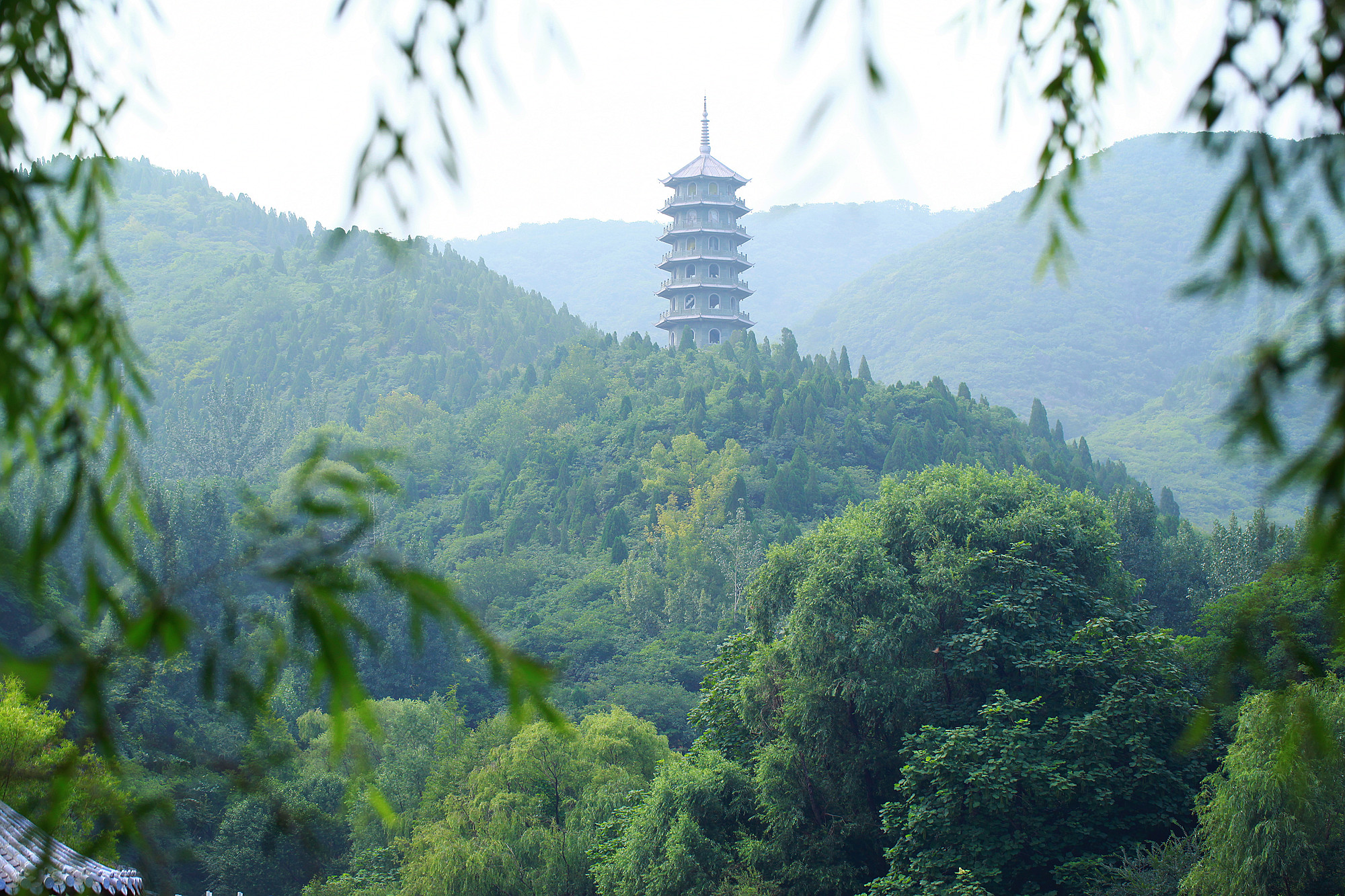 济南历城区红叶谷景区门票团购,济南红叶谷景区免费时间