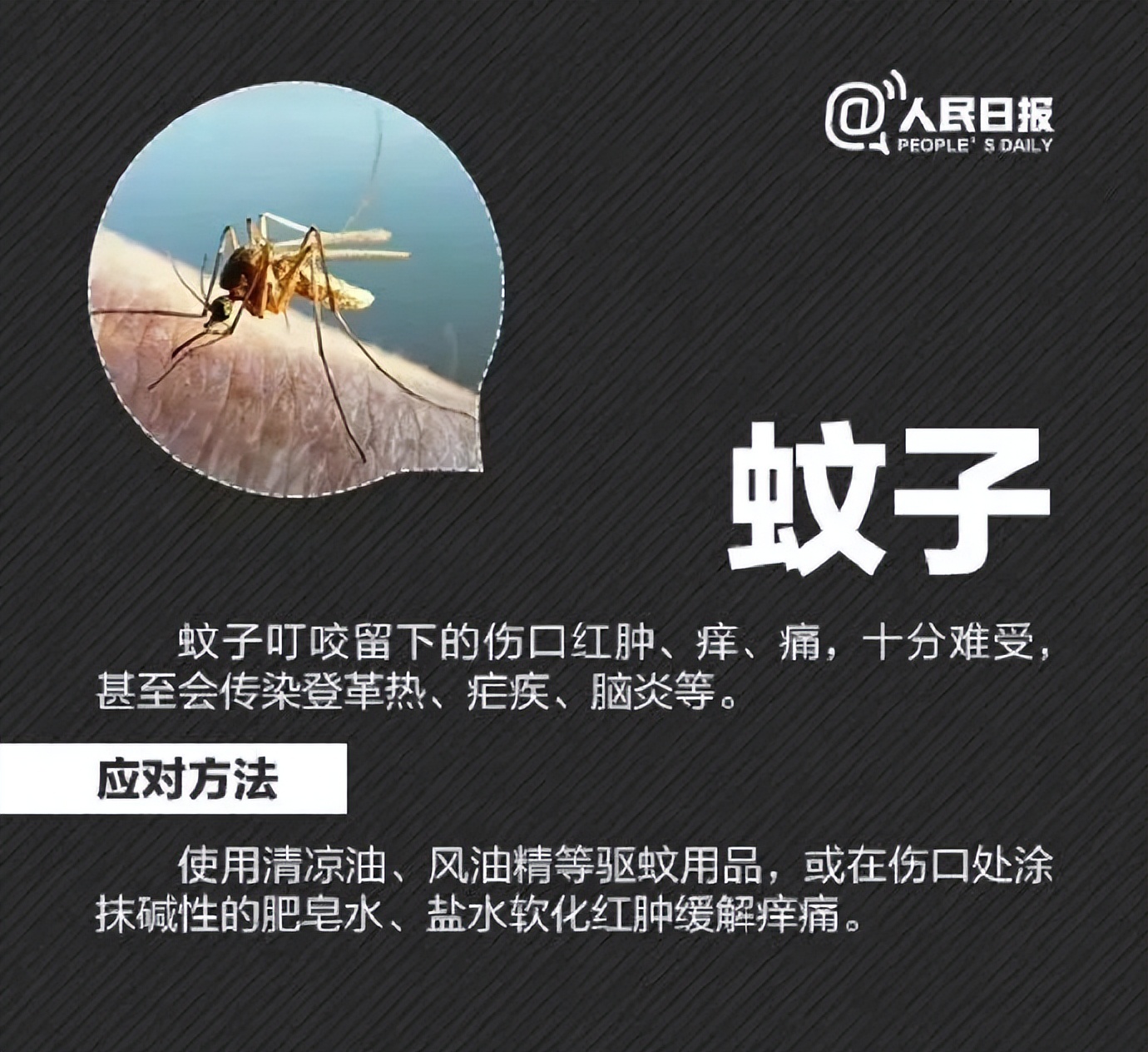 “我的脸被它毁容了…”毒液堪比硫酸！西安也有！