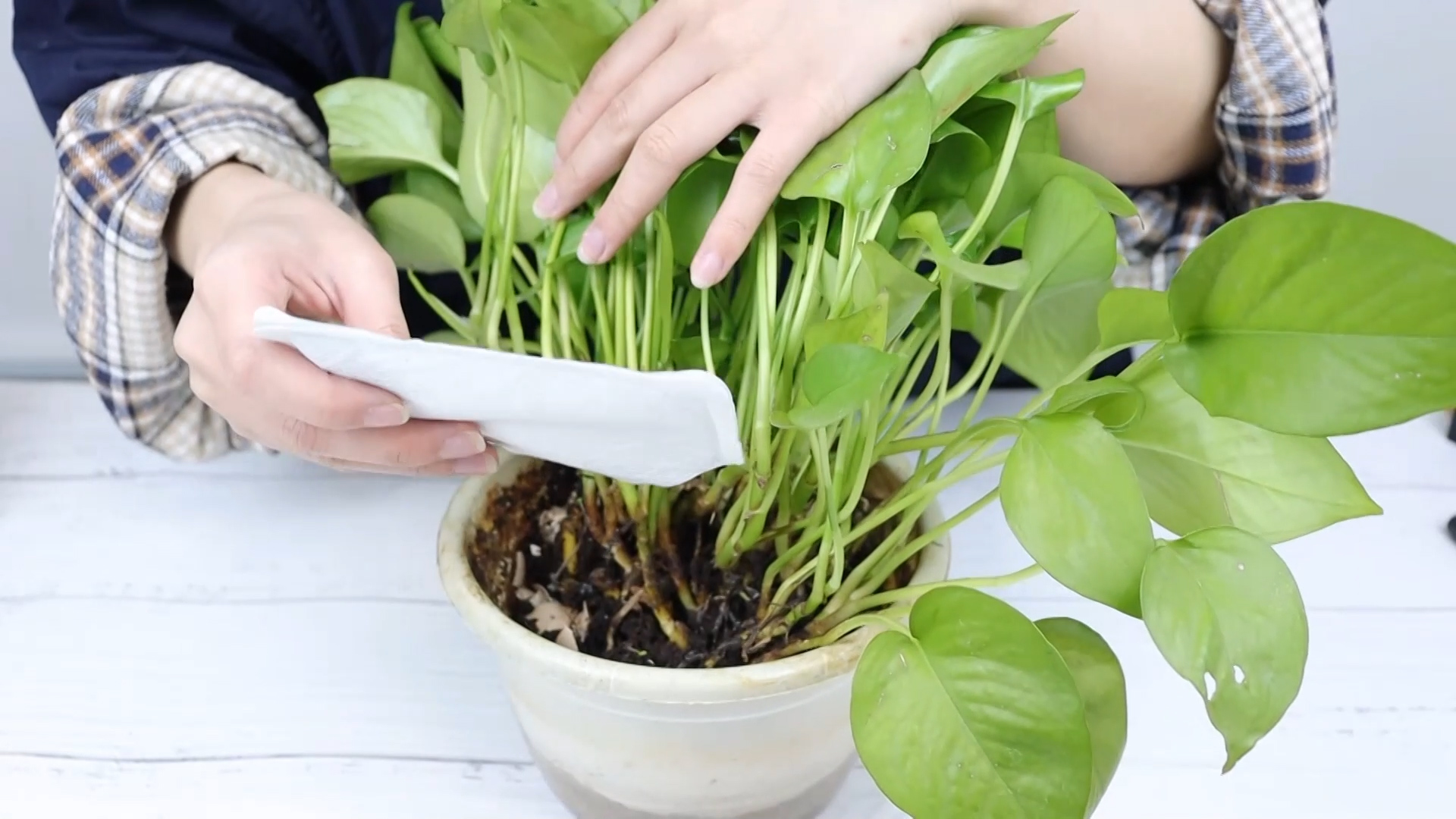 用完的暖宝宝可以直接扔吗,暖宝宝用完可以直接扔垃圾桶