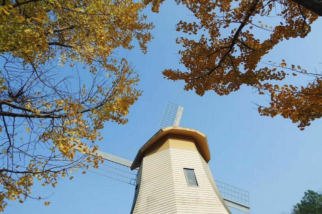 杭州周边赏秋好去处,杭州赏秋最佳攻略