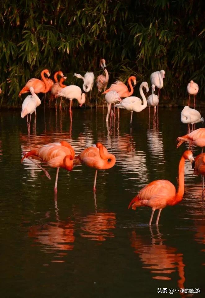 上海市旅游景点门票价格,上海景区排名必游景区介绍