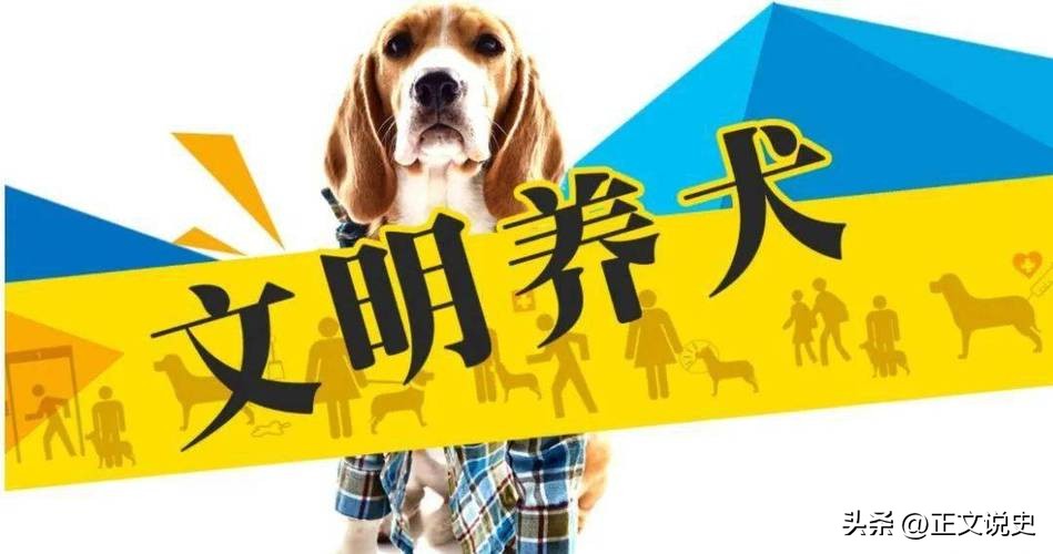 不文明遛狗脑震荡,遛狗不拴绳还把路人打骨折