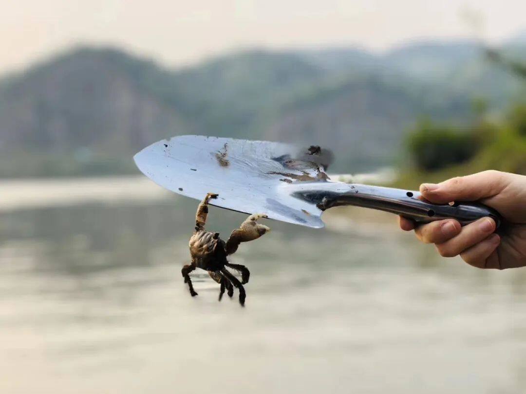 动力伞utv,动力伞热气球飞行