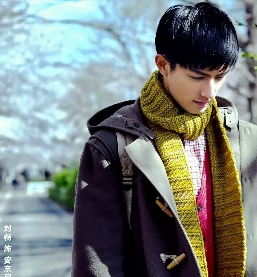 刘畅当模特的图片,刘畅模特主演的电视片段