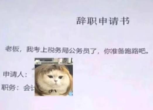 史上最走心辞职信,辞职信最火最硬核