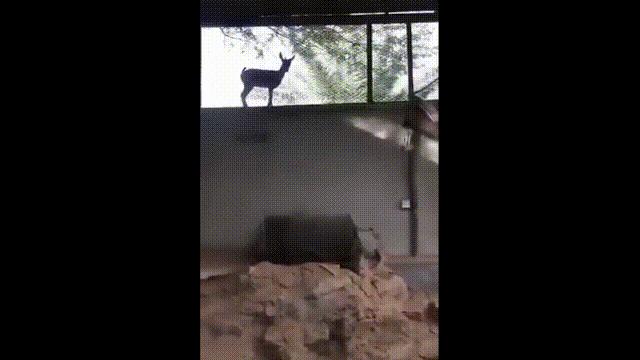 超级血液代表着什么,超级血液是啥