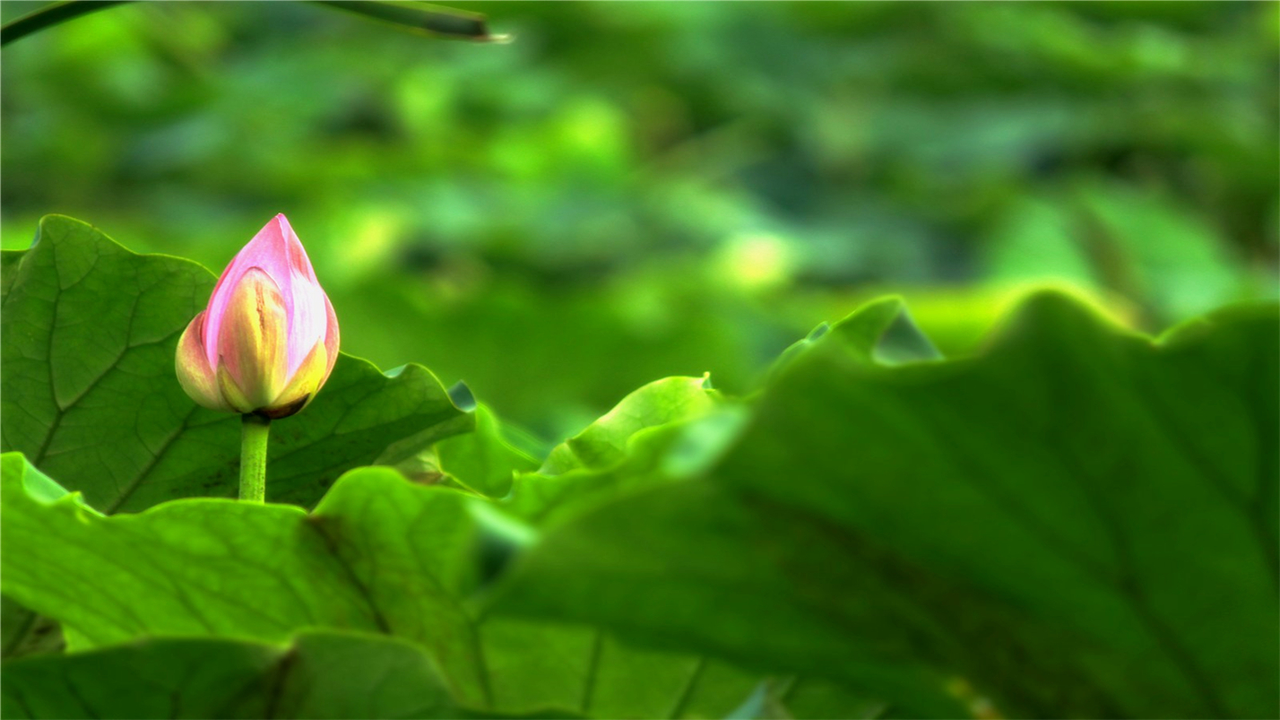 雨过天晴的惬意,雨过天晴很惬意的句子
