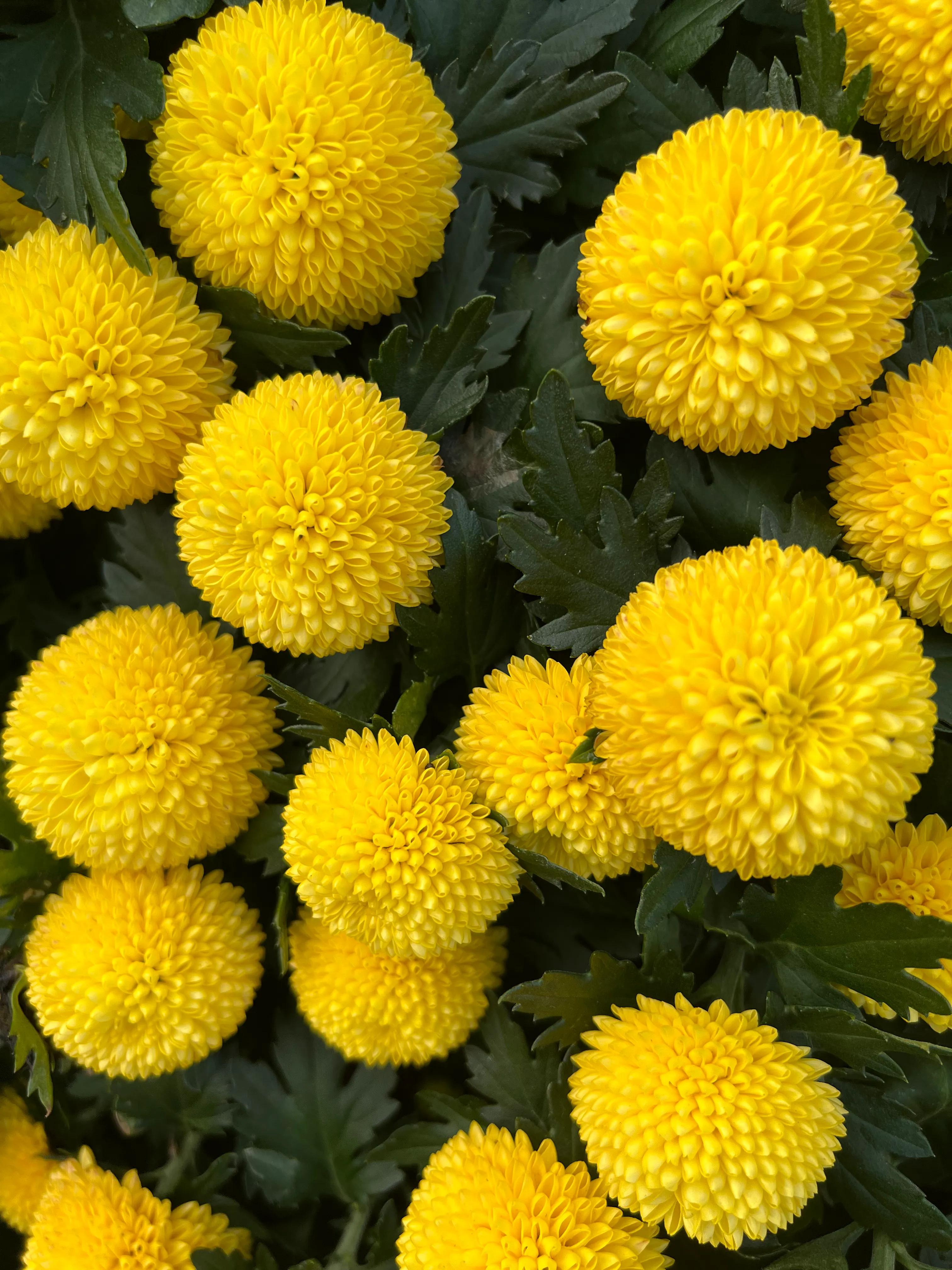 二十条负面清单,21条负面清单是哪些