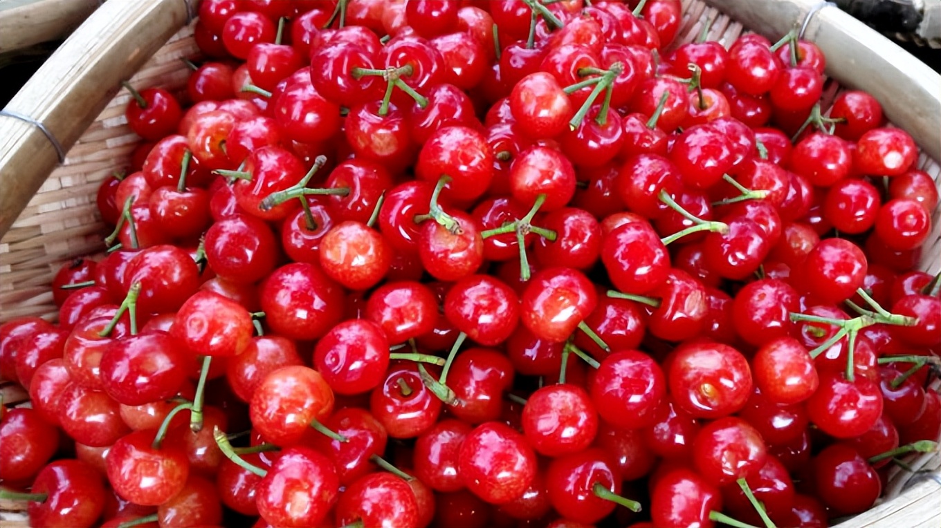 成都有哪些国家地理标志农产品,四川成都特色农产品