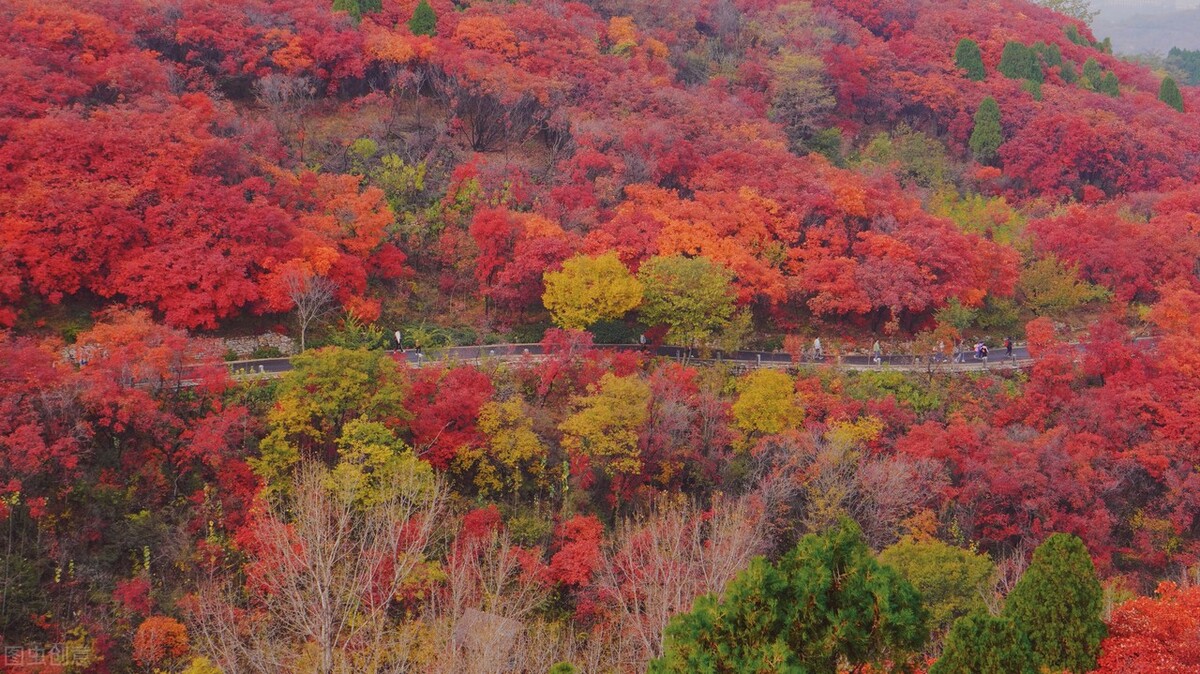 没想到济南的秋天竟然可以这样美,秋天济南哪个景区最美