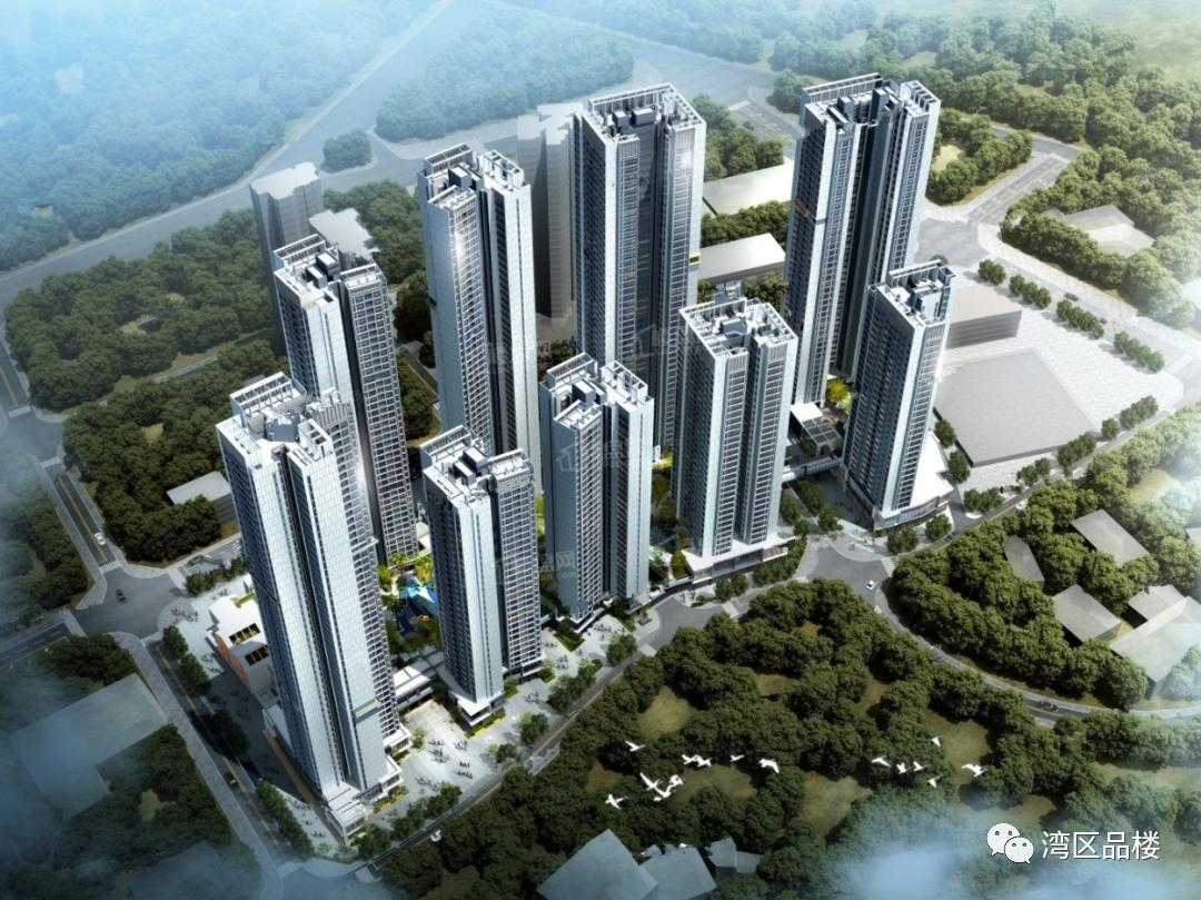 深圳新盘即将入市的楼盘,深圳查看新楼盘