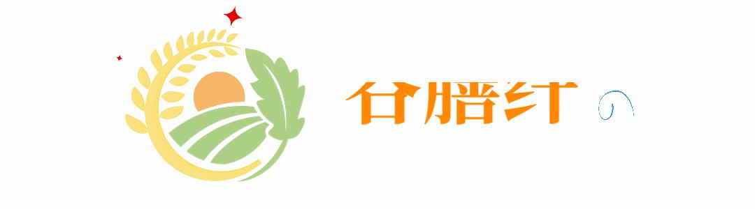 最佳减肥方法健康瘦身秘籍大揭秘,如何减肥瘦身最快最有效的方法