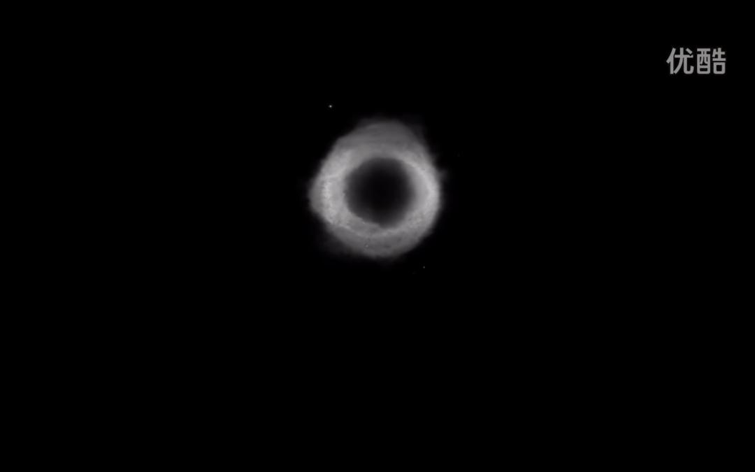 苦等八年大结局解析,苦等58年完整版