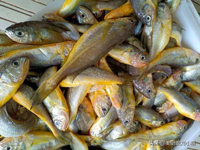 冬天吃鱼的好处三种鱼不要多吃,秋冬吃什么鱼最好
