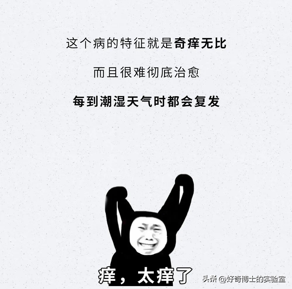 耳朵痒痒耳屎多怎么回事,耳朵里没有耳屎但是感觉堵住了