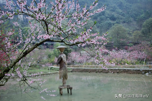 重庆旅游必去十大景点推荐有哪些,重庆旅游必去十大景点推荐打卡