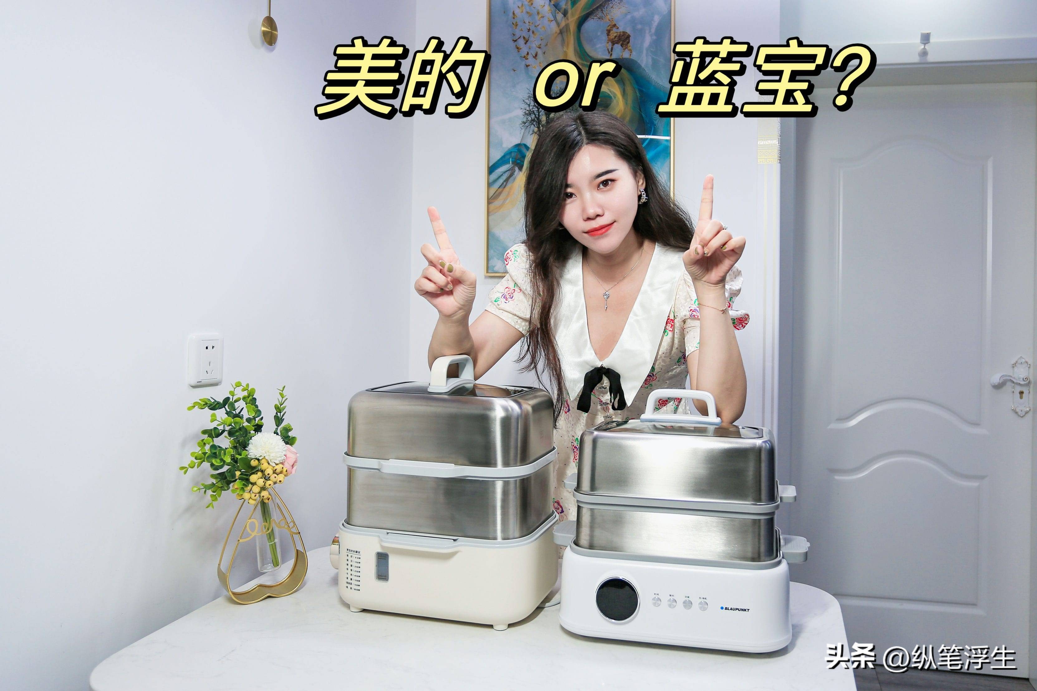蓝宝电蒸锅对比评测,蓝宝电蒸锅真实测评