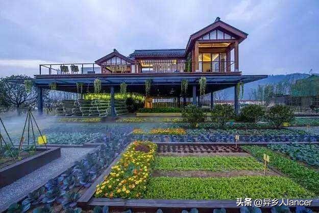 家庭农场：是否能成为乡村致富的新风口？