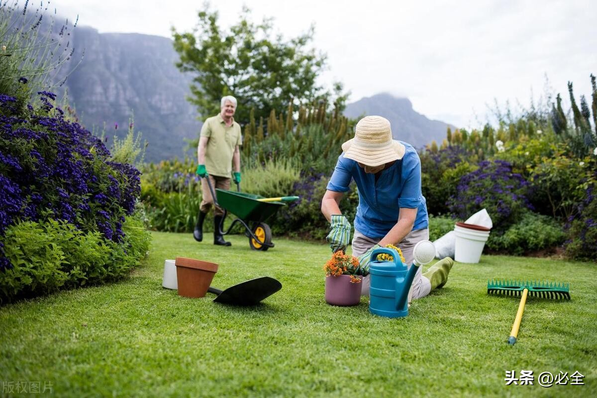 园林草坪要做什么,草坪景观布置