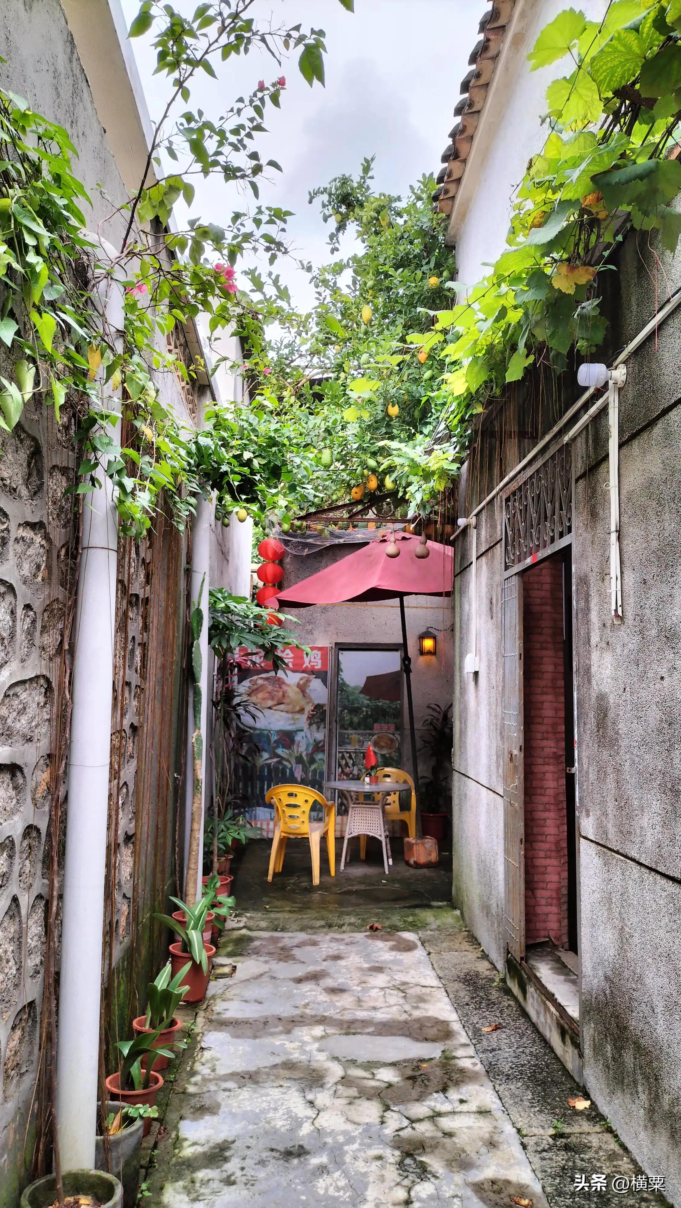 珠海唐家湾有什么好玩的地方,珠海唐家湾有什么