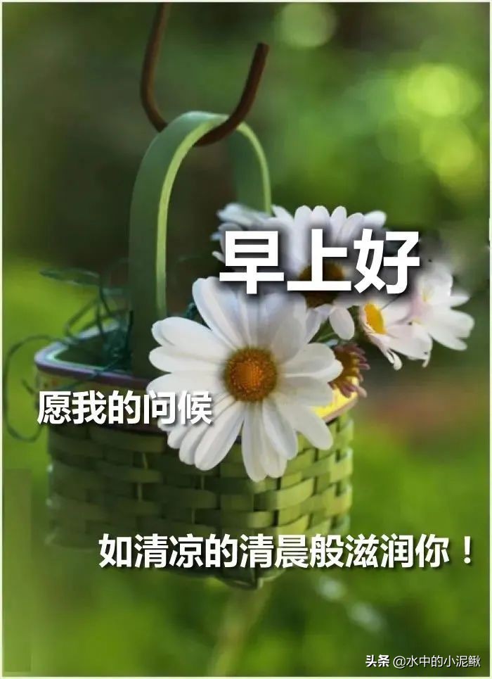 早安励志语录简短的句子有哪些,早安语录励志句子短句有哪些