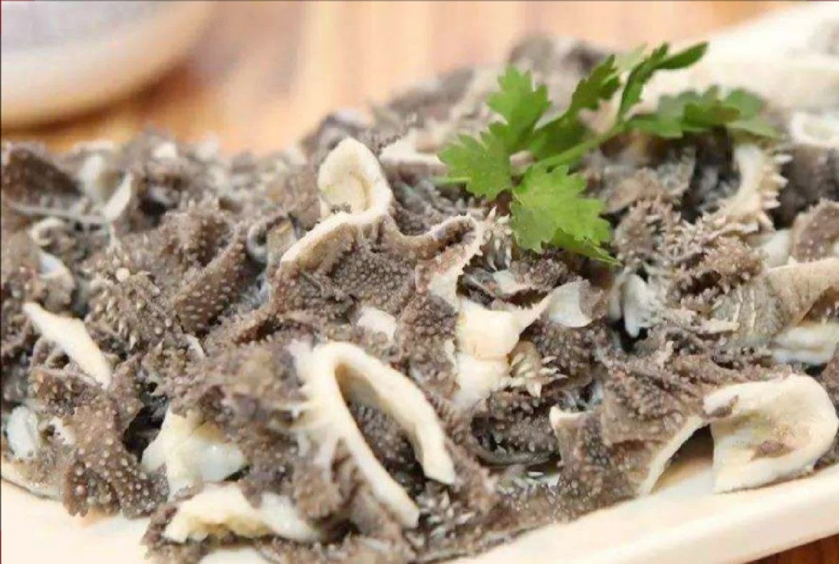 外地人去天津必吃的天津菜,天津最正宗的天津菜