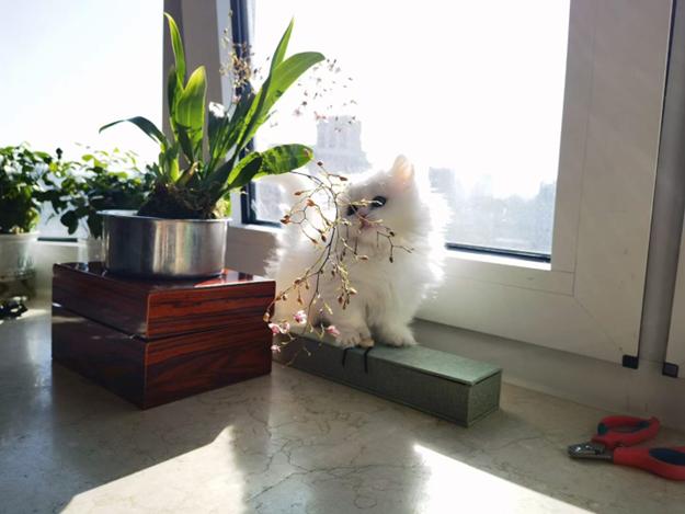 你托付我一生我还你爱的永恒