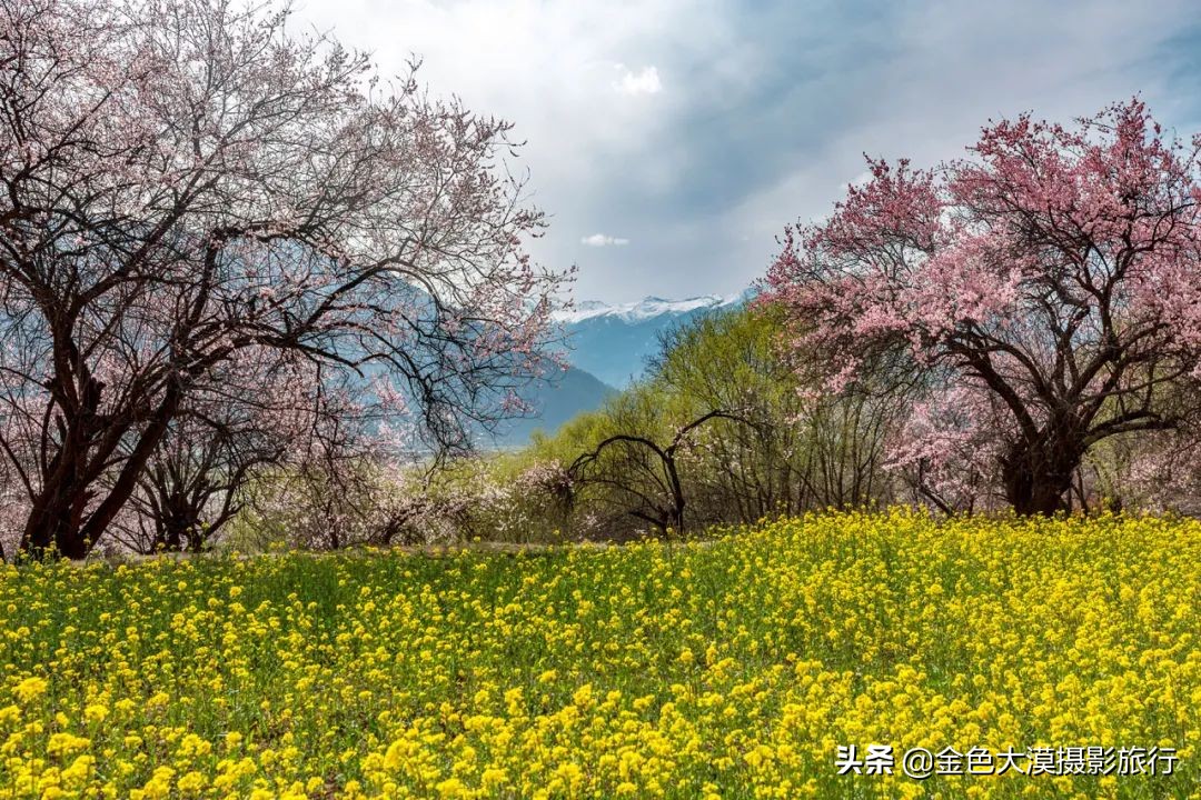 3月份去西藏林芝,3-4月去西藏林芝好玩吗