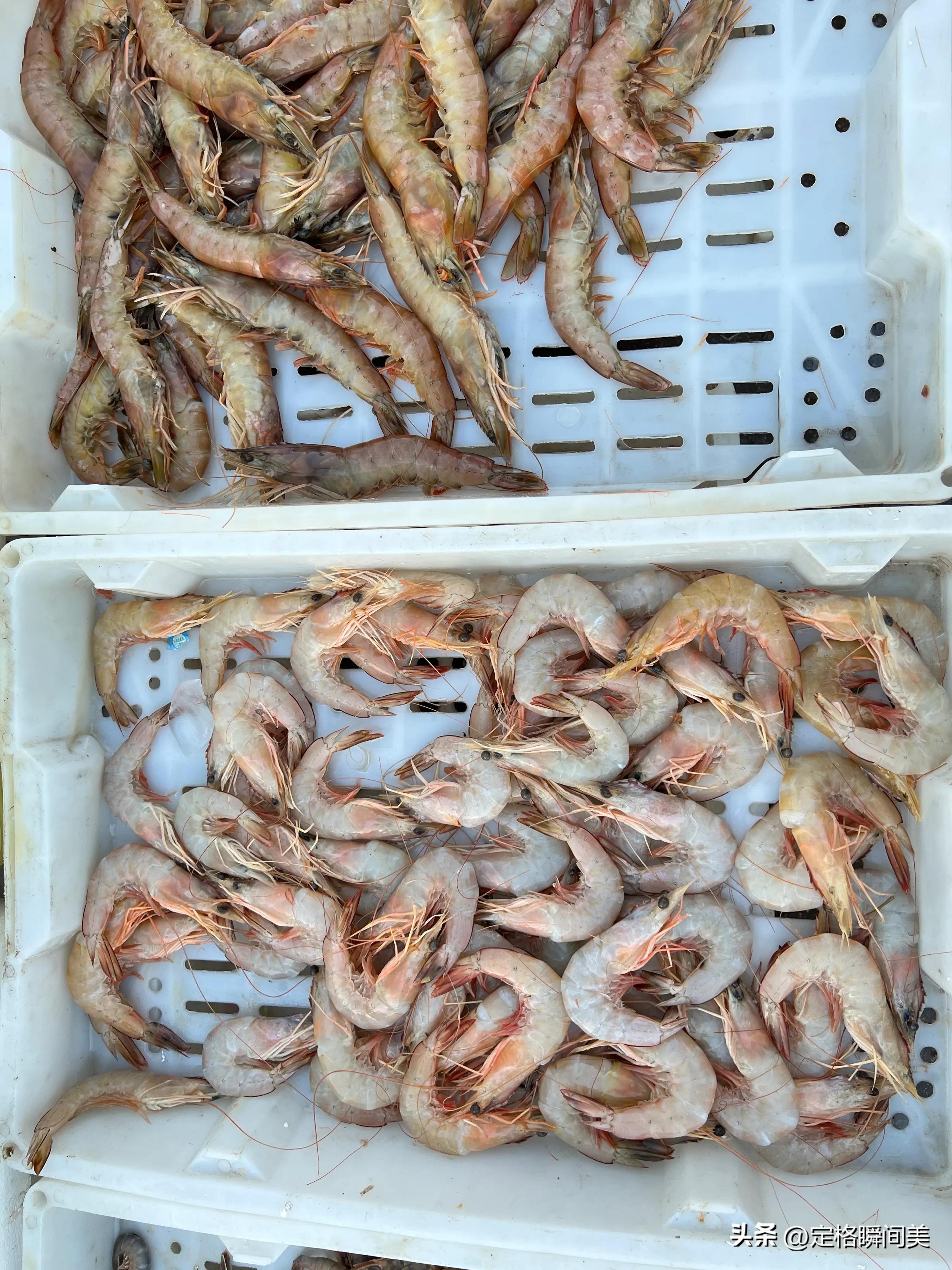 冬天青岛小海鲜,青岛冬季的海鲜特产