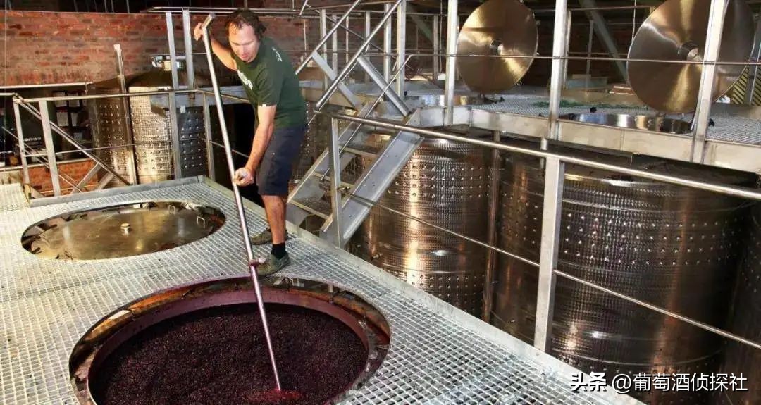 正宗葡萄酒酿造法,葡萄酒酿造步骤精简