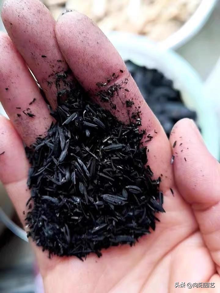 草木灰能根除土壤的病虫害吗,草木灰作用与防治方法