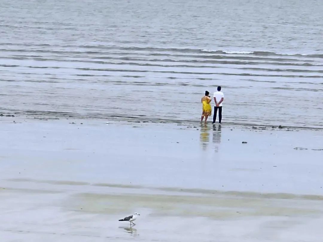 5万买海景房乳山滩跌成海边鹤岗,五万一套的海景房鬼城银滩