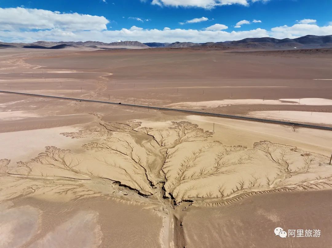 西藏最近很火的大地之树,网红大地之树