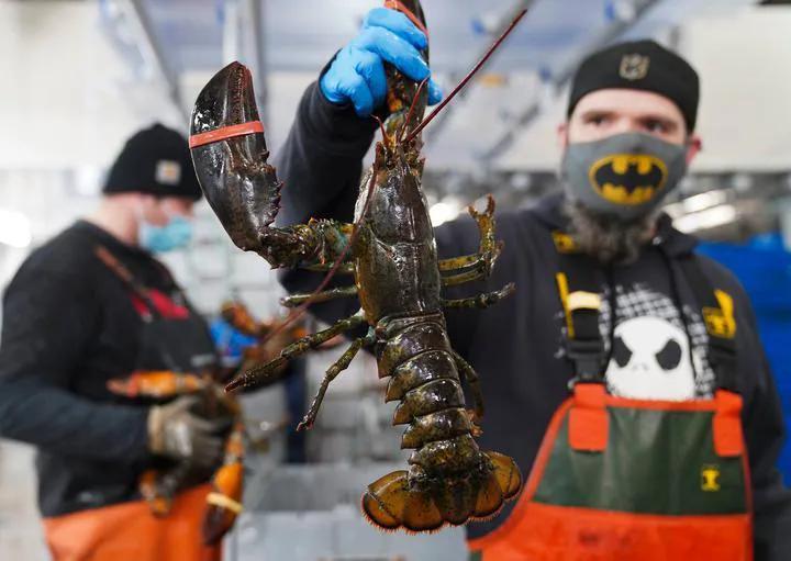 美国各州gdp排名及州府,美国50大城市GDP排名2020年