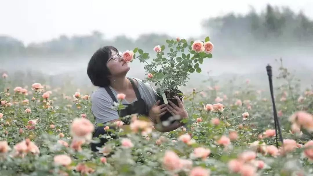 教育温暖的瞬间,一分钟看懂成都教育