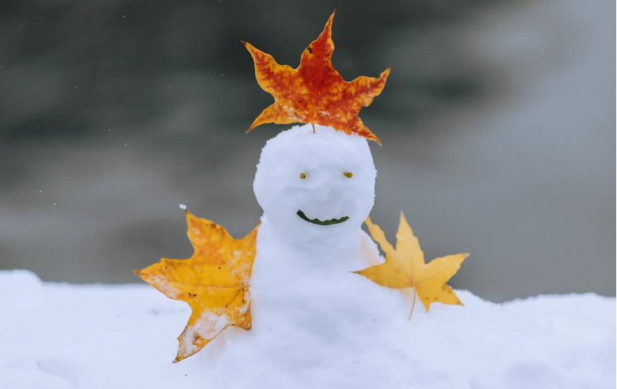 关于初雪的诗句古诗名句,写初雪的诗句古诗大全