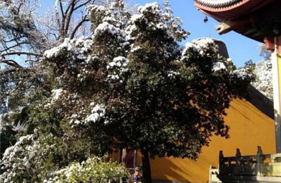 杭州适合老人游玩的景点,杭州游玩攻略三日游详细