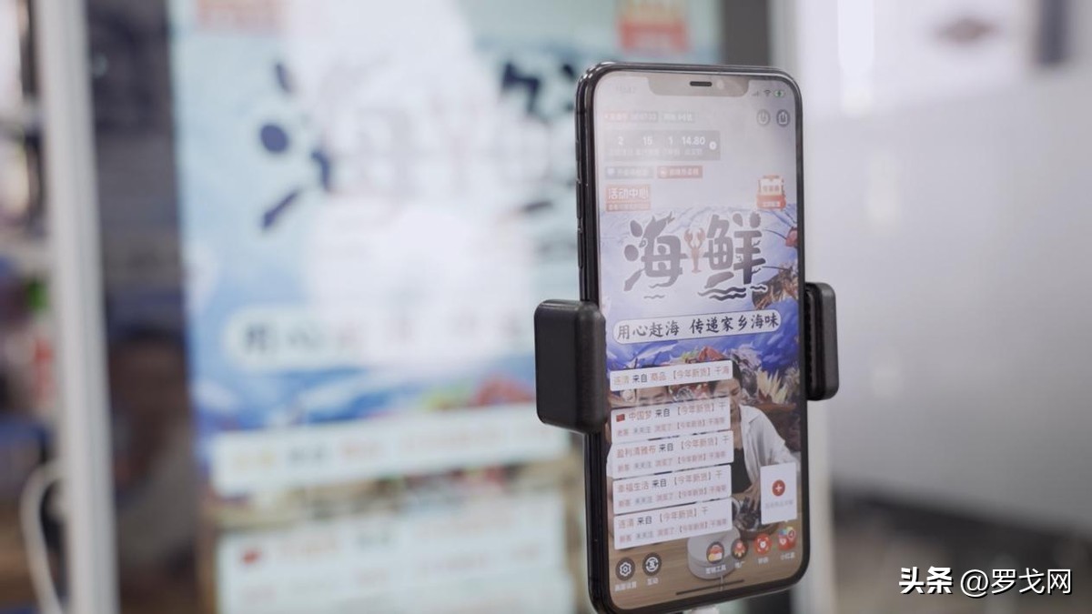 新农人水果蔬菜批发,霞浦海带批发多少钱一斤