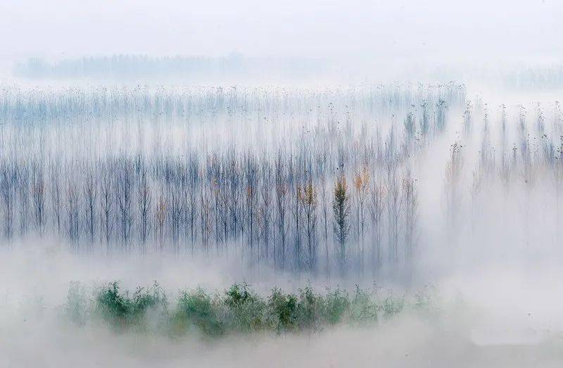 萧条仕路风雨人生——杜甫